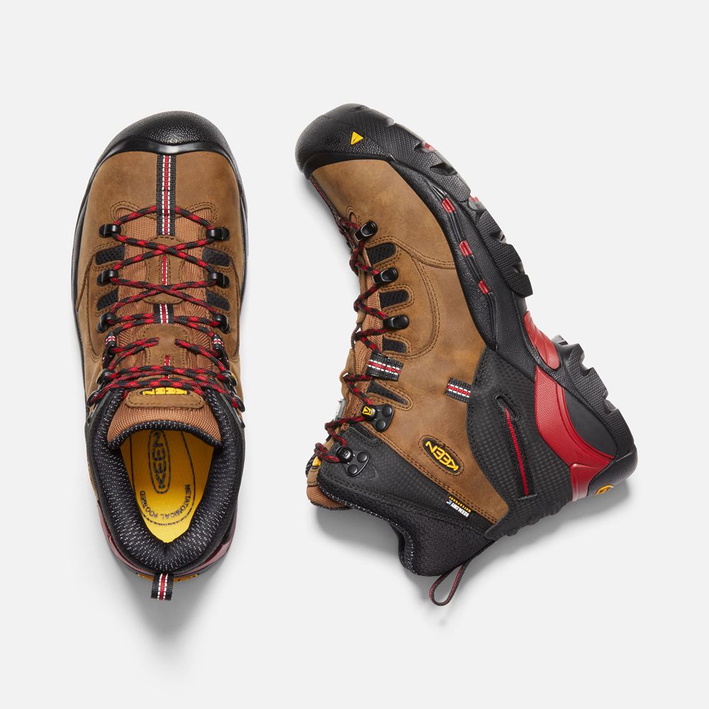 Keen Arbetskängor Herr Bruna/Svarta - Csa Hamilton Waterproof (Carbon-Fiber Toe) - 428910MZH